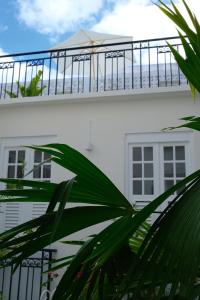 pointe a pitre