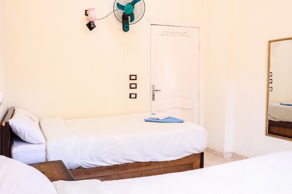 al manara hostel siwa oasis