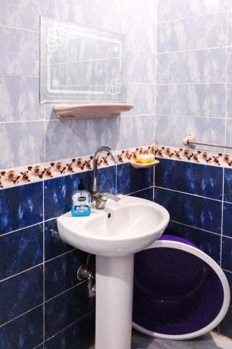 al manara hostel siwa oasis