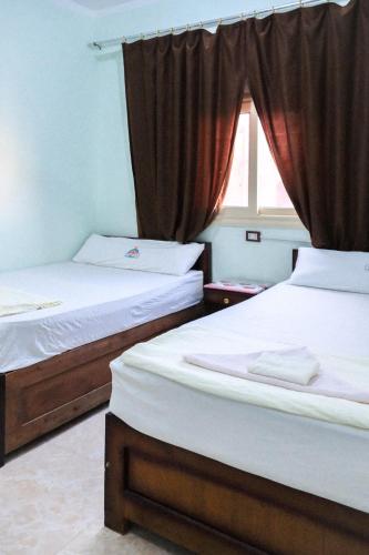 al manara hostel siwa oasis