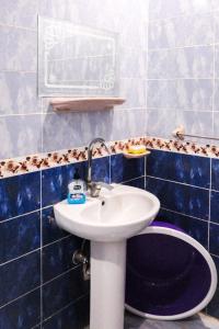 al manara hostel siwa oasis