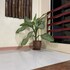 bahay ni ate bed and breakfast