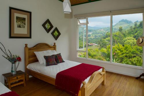 manizales