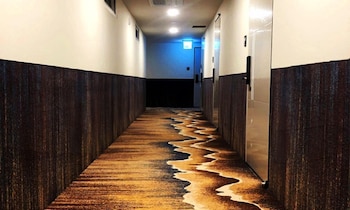 sokcho gallery in stay