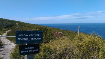 lily pond country lodge