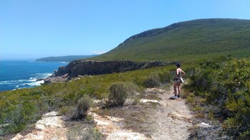 lily pond country lodge