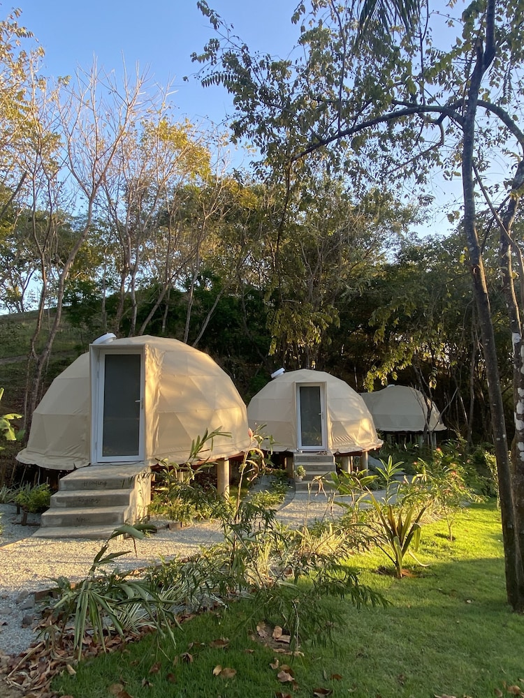 alaya panama