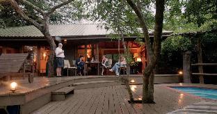 bushwillow collection