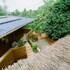 vafi hills bed and breakfast