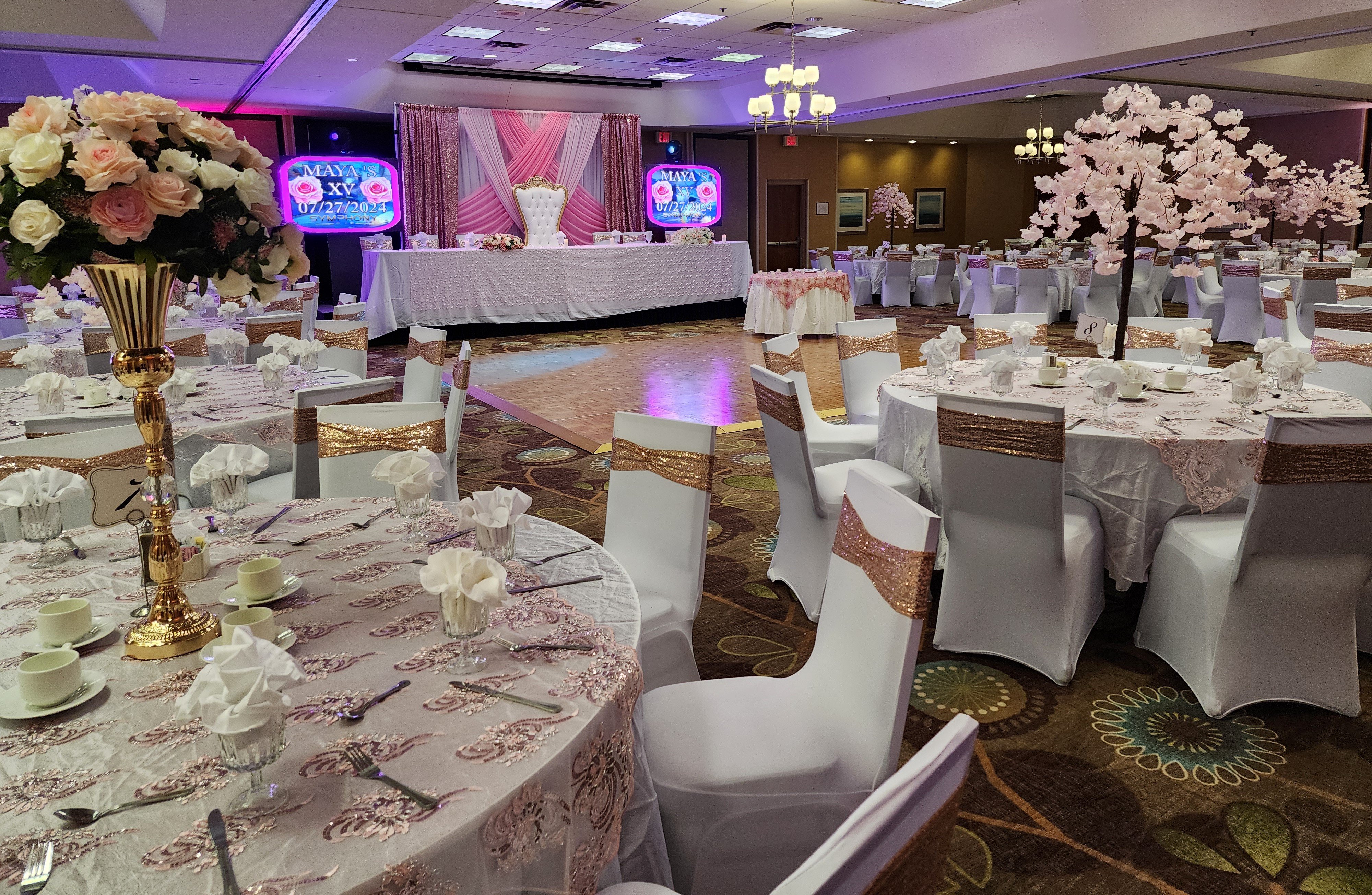 holiday inn and suites bolingbrook by ihg