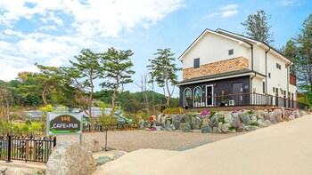gapyeong haemoggeullaemping