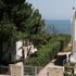 bari