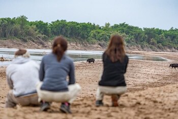 glamping los palmares