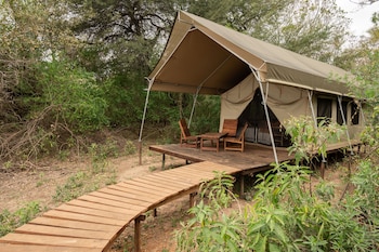 glamping los palmares