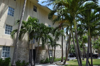 coral reef at key biscayne