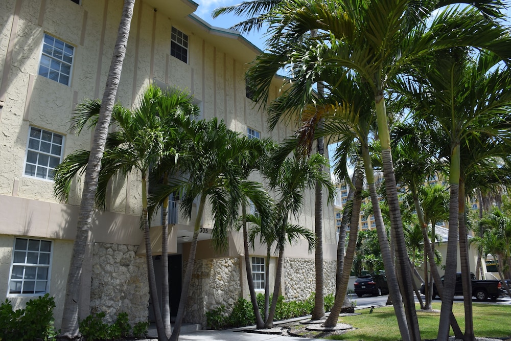 coral reef at key biscayne