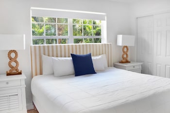 coral reef at key biscayne