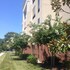 springhill suites by marriott annapolis