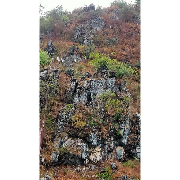 360 degree view homestay