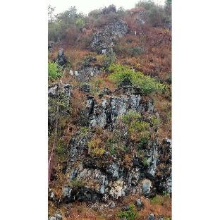 360 degree view homestay