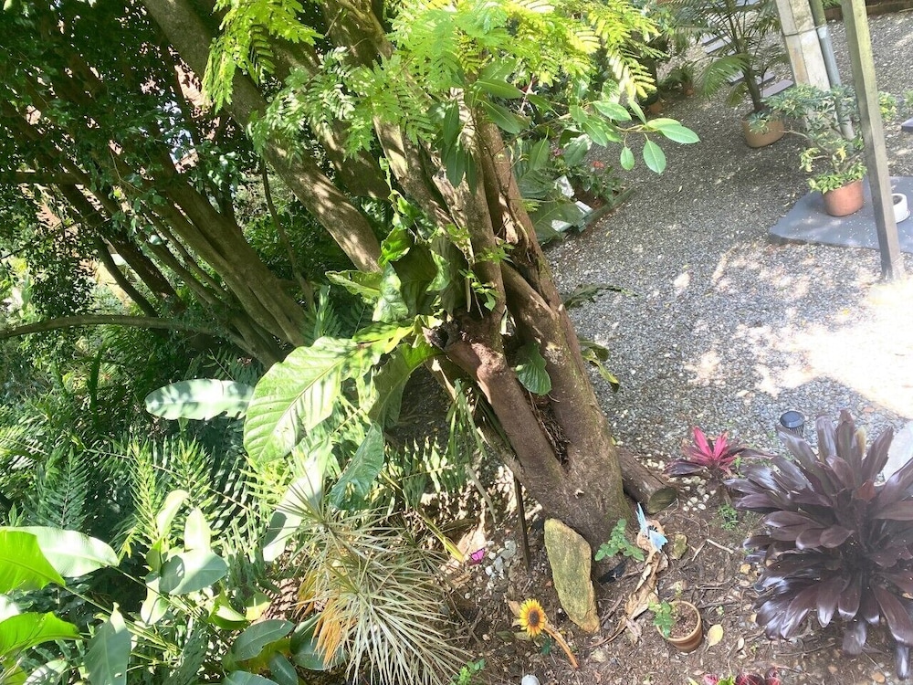 casa suyte leguizamon