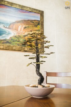 meson del capitan apartments