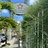 hotel aeroporto montese star