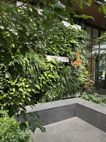 paragon apartments by cllix