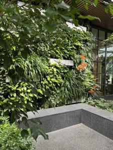 paragon apartments by cllix