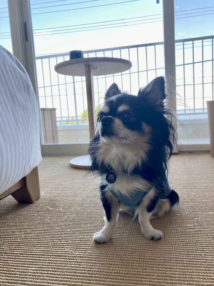 kamome slow hotel the compact