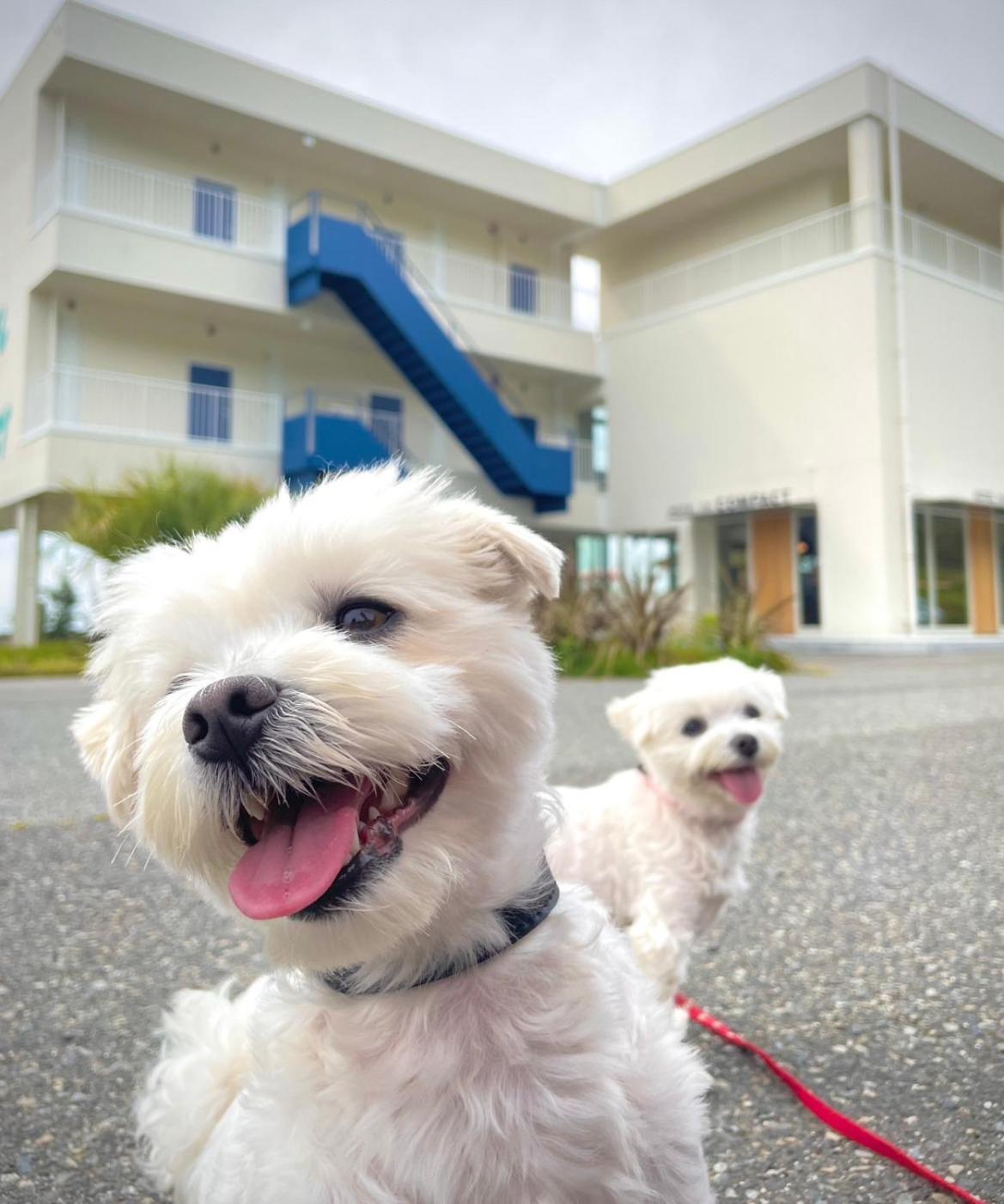 kamome slow hotel the compact