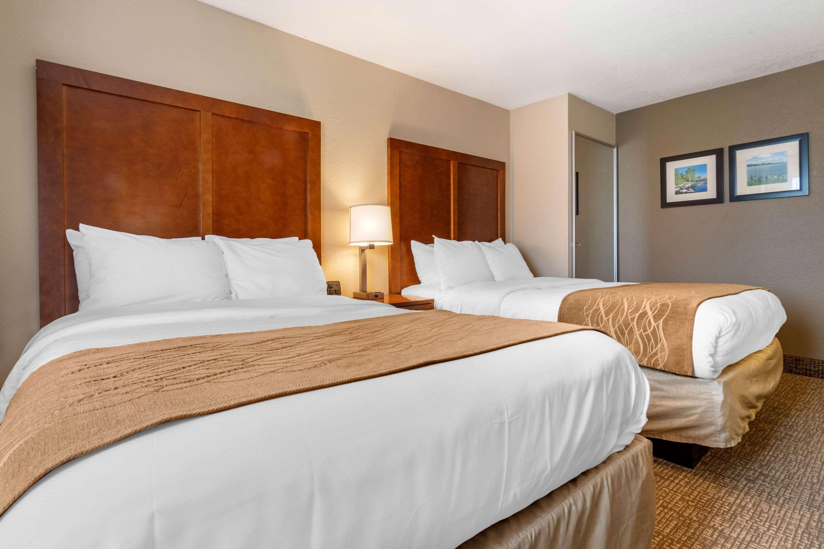 comfort inn and suites south hill i 85