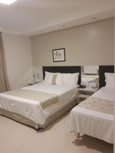 porto velho