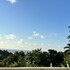 montego bay