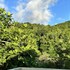 montego bay