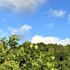 montego bay