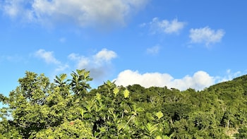montego bay