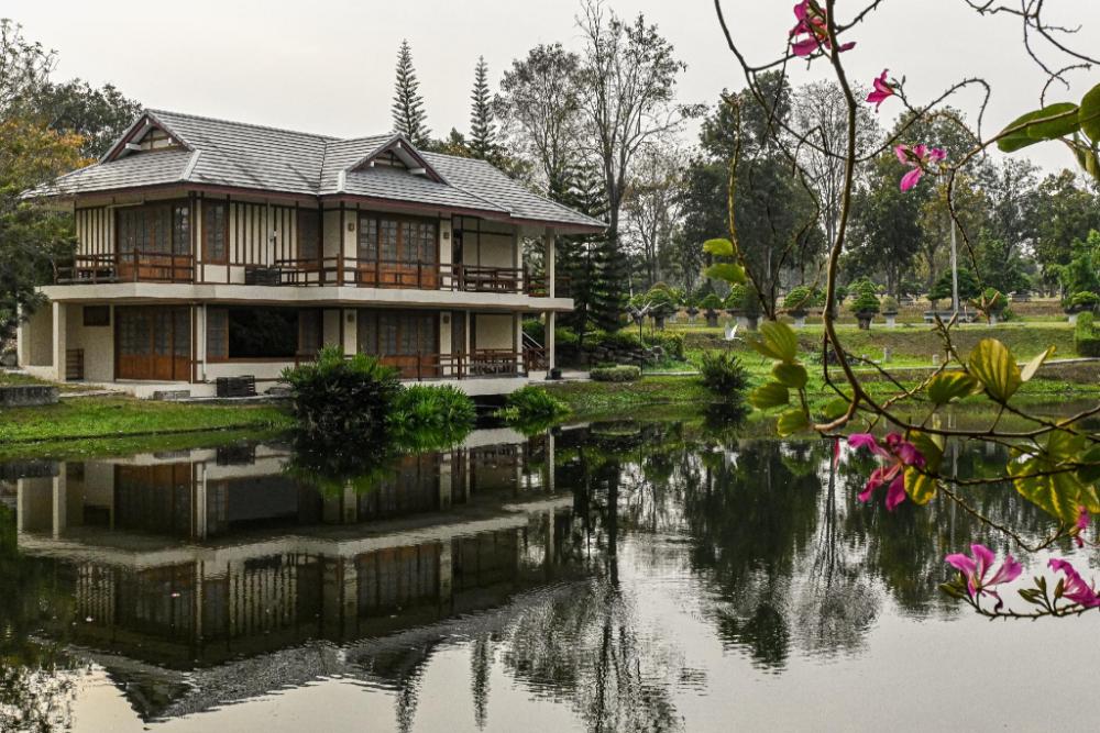suanpung bonsai village