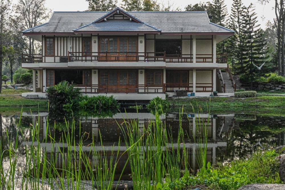 suanpung bonsai village