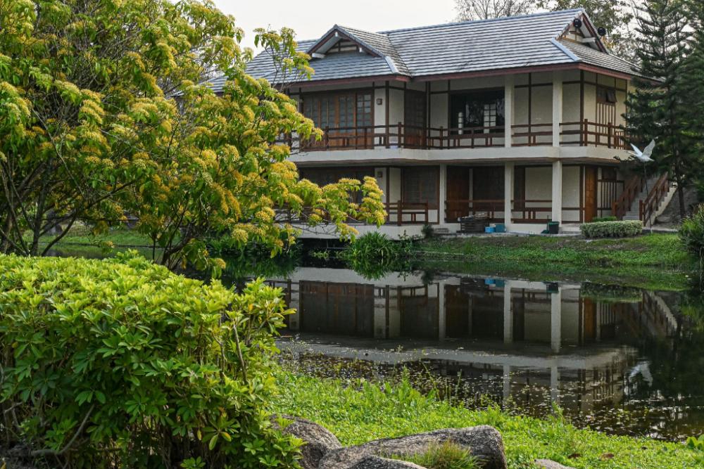 suanpung bonsai village