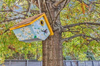 spacious house in charlotte