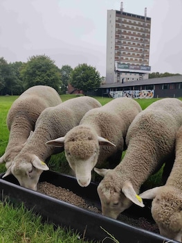 h jhuset kulturhotel