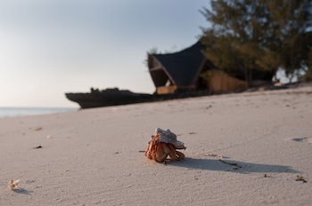 chumbe island coral park