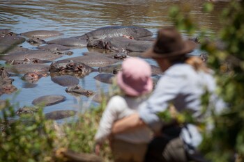 elewana serengeti migration camp