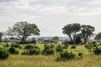 saadani safari lodge bush river beach
