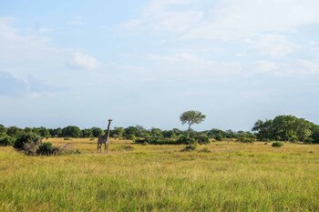 saadani safari lodge bush river beach