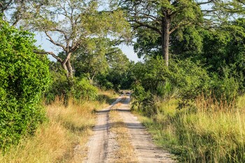saadani safari lodge bush river beach