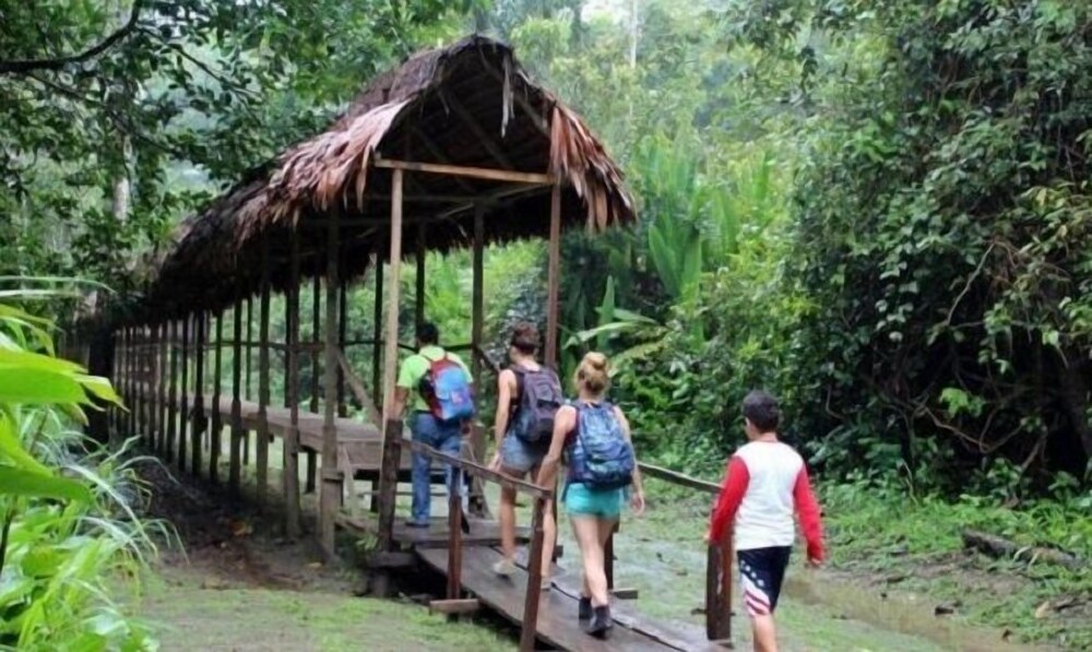 centro espiritual luz del amazonas