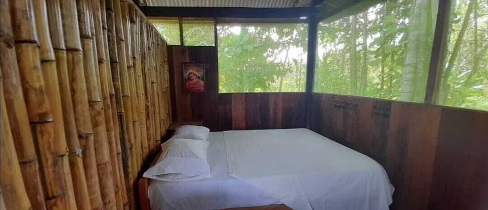 centro espiritual luz del amazonas