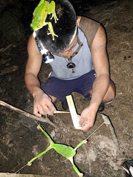 centro espiritual luz del amazonas